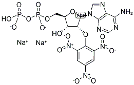 2'-(OR-3')-O-(TRINITROPHENYL)ADENOSINE 5'-DIPHOSPHATE, DISODIUM SALT Struktur