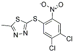 2-[(4,5-DICHLORO-2-NITROPHENYL)THIO]-5-METHYL-1,3,4-THIADIAZOLE Struktur