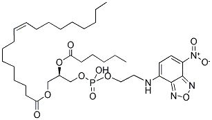 1-OLEOYL-2-[6-[(7-NITRO-2-1,3-BENZOXADIAZOL-4-YL)AMINO]CAPROYL]-SN-GLYCERO-3-PHOSPHOETHANOLAMINE Struktur