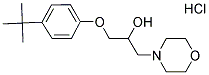 1-(4-TERT-BUTYLPHENOXY)-3-MORPHOLIN-4-YLPROPAN-2-OL HYDROCHLORIDE Struktur