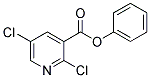 2,5-DICHLORONICOTINIC ACID PHENYL ESTER Struktur