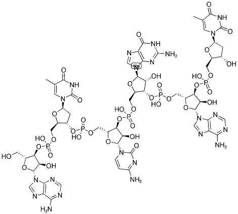 ATCGAT, 5'-NON-PHOSPHORYLATED Struktur