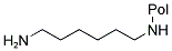 OMEGA-AMINOHEXYL RESIN Structure