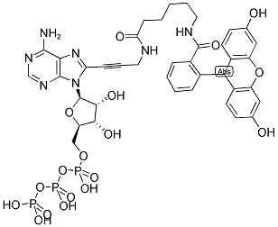 FLUORESCEIN-12-ATP Struktur