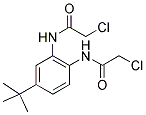 N1-(4-(TERT-BUTYL)-2-[(2-CHLOROACETYL)AMINO]PHENYL)-2-CHLOROACETAMIDE Struktur