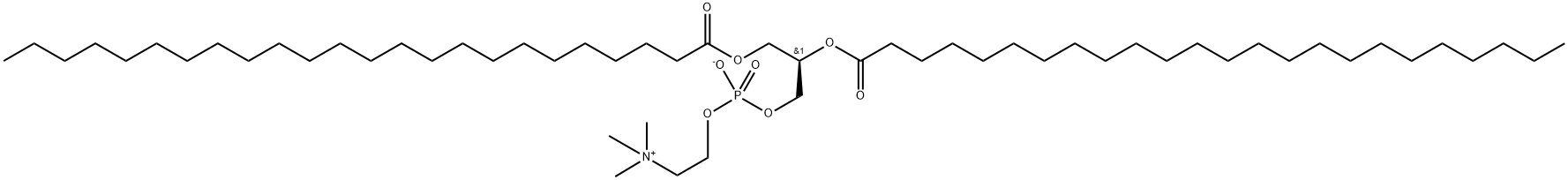 1,2-DILIGNOCEROYL-SN-GLYCERO-3-PHOSPHOCHOLINE Struktur