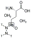 H-GLU(NHNH2)-OH 2H2O Struktur