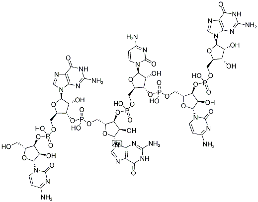 CGGCCG, 5'-NON-PHOSPHORYLATED Struktur