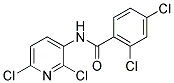 N1-(2,6-DICHLORO-3-PYRIDYL)-2,4-DICHLOROBENZAMIDE Struktur