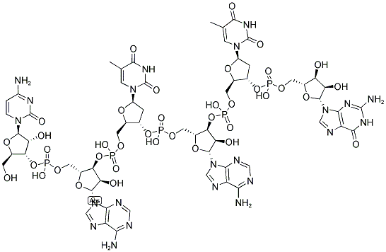 CATATG, 5'-NON-PHOSPHORYLATED Struktur