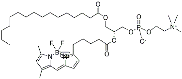 2-(4,4-DIFLUORO-5,7-DIMETHYL-4-BORA-3A,4A-DIAZA-S-INDACENE-3-PENTANOYL)-1-HEXADECANOYL-SN-GLYCERO-3-PHOSPHOCHOLINE