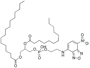 1-PALMITOYL-2-[12-[(7-NITRO-2-1,3-BENZOXADIAZOL-4-YL)AMINO]DODECANOYL]-SN-GLYCERO-3-PHOSPHOETHANOLAMINE Struktur