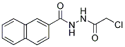 N'-(2-CHLOROACETYL)-2-NAPHTHOHYDRAZIDE Struktur