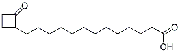 13-(2'-OXOCYCLOBUTYL)-TRIDECANOIC ACID Struktur