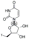 5'-DEOXYURIDINE, [5-3H]- Struktur