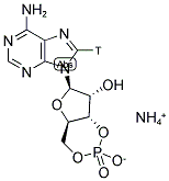 [8-3H]ADENOSINE 3',5'-CYCLIC PHOSPHATE, AMMONIUM SALT Struktur