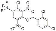 2-CHLORO-4-[(2,4-DICHLOROBENZYL)OXY]-3,5-DINITRO-1-(TRIFLUOROMETHYL)BENZENE Struktur