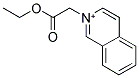 2-(2-ETHOXY-2-OXOETHYL)ISOQUINOLINIUM Struktur