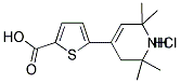 5-(2,2,6,6-TETRAMETHYL-1,2,3,6-TETRAHYDRO-PYRIDIN-4-YL)-THIOPHENE-2-CARBOXYLIC ACID HYDROCHLORIDE Struktur