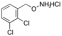 1-[(AMMONIOOXY)METHYL]-2,3-DICHLOROBENZENE CHLORIDE Struktur