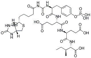 BIOTIN-EPSILON-AMINOCAPROYL-TYR(PO3H2)-GLU-GLU-ILE Struktur