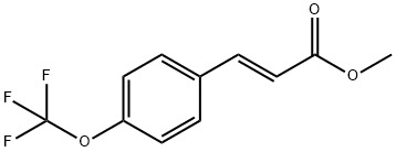 METHYL 3-[4-(TRIFLUOROMETHOXY)PHENYL]-ACRYLATE Struktur