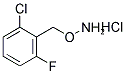 2-[(AMMONIOOXY)METHYL]-1-CHLORO-3-FLUOROBENZENE CHLORIDE Struktur