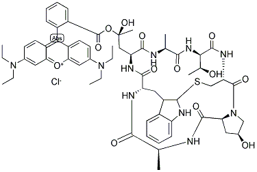 PHALLOIDIN, RHODAMINE X CONJUGATED Structure