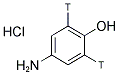 4-AMINOPHENOL HYDROCHLORIDE, [2,6-3H] Struktur