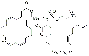 1,2-PHOSPHATIDYLCHOLINE, L-ALPHA-DIARACHIDONYL, [DIARACHIDONYL-11-14C] Struktur