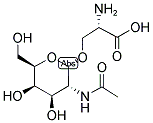 TN ANTIGEN Struktur