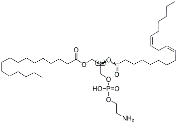 L-3-PHOSPHATIDYLETHANOLAMINE,1-PALMITOYL-2-[1-14C]LINOLEOYL Struktur