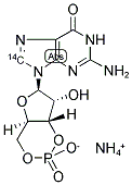 GUANOSINE 3',5'-CYCLIC PHOSPHATE, AMMONIUM SALT, [8-14C]- Struktur