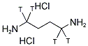 [1,4(N)-3H]PUTRESCINE DIHYDROCHLORIDE Struktur