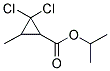 ISOPROPYL 2,2-DICHLORO-3-METHYLCYCLOPROPANECARBOXYLATE Struktur