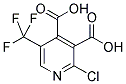 2-CHLORO-5-(TRIFLUOROMETHYL)PYRIDINE-3,4-DICARBOXYLIC ACID Struktur