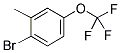 2-METHYL-4-(TRIFLUOROMETHOXY)BROMOBENZENE Struktur