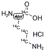 L-[U-14C]ORNITHINE HYDROCHLORIDE Struktur