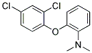 2-(2,4-DICHLOROPHENOXY)-N,N-DIMETHYLANILINE Struktur