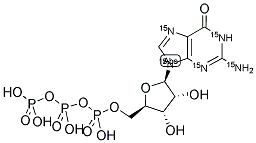 GTP (U-15N5) Struktur