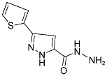 3-(2-THIENYL)-1H-PYRAZOLE-5-CARBOHYDRAZIDE Struktur