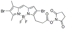 2,6-DIBROMO-4,4-DIFLUORO-5,7-DIMETHYL-4-BORA-3A,4A-DIAZA-S-INDACENE-3-PROPIONIC ACID, SUCCINIMIDYL ESTER Struktur