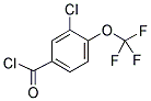 3-CHLORO-4-(TRIFLUOROMETHOXY)BENZOYL CHLORIDE Struktur