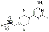 (R)-9-(2-PHOSPHONYLMETHOXYPROPYL)-ADENINE, [ADENINE-2,8-3H]- Struktur