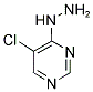 5-CHLORO-4-HYDRAZINOPYRIMIDINE Struktur