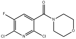 (2,6-DICHLORO-5-FLUOROPYRIDIN-3-YL)(MORPHOLINO)METHANONE Struktur