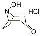 8-HYDROXY-8-AZABICYCLO[3.2.1]OCTAN-3-ONE HYDROCHLORIDE Struktur