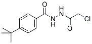 4-TERT-BUTYL-N'-(CHLOROACETYL)BENZOHYDRAZIDE Struktur