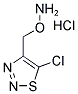 4-[(AMMONIOOXY)METHYL]-5-CHLORO-1,2,3-THIADIAZOLE CHLORIDE Struktur