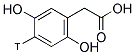 HOMOGENTISIC ACID, [RING-3H] Struktur